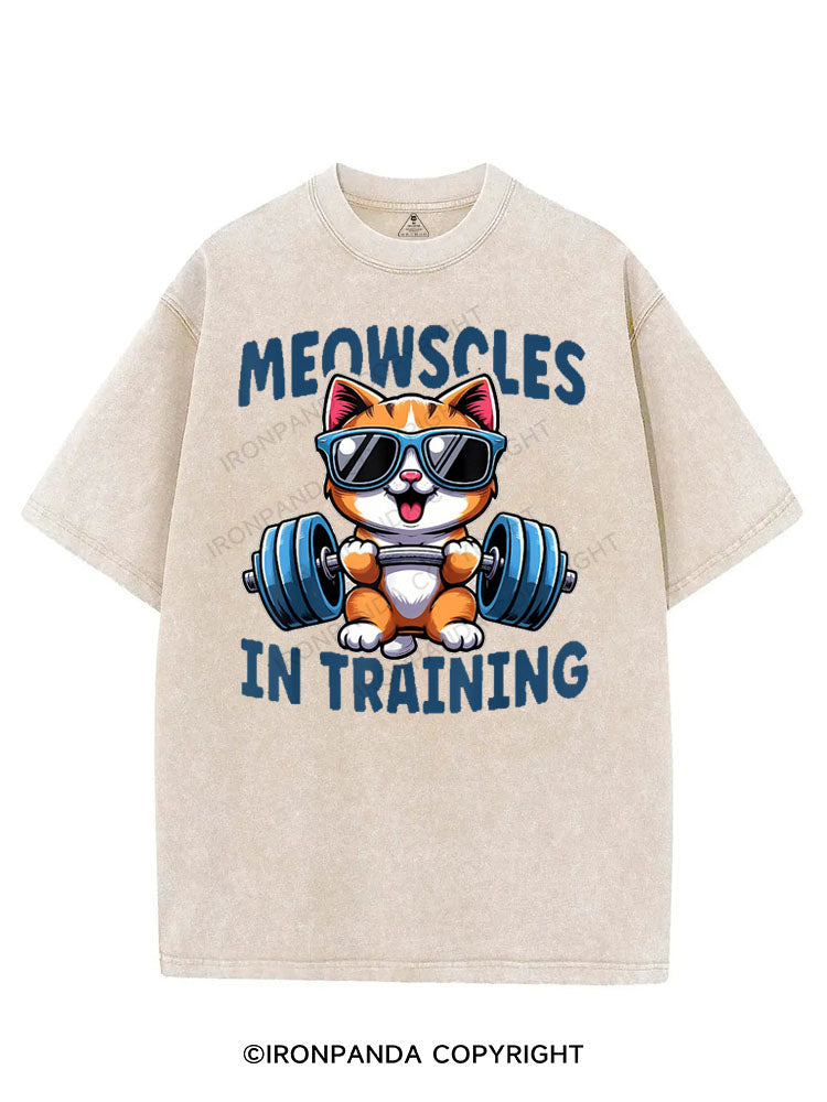 MEOWSCLES IN TRAINING VINTAGE GYM SHIRT