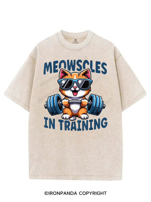 MEOWSCLES IN TRAINING VINTAGE GYM SHIRT